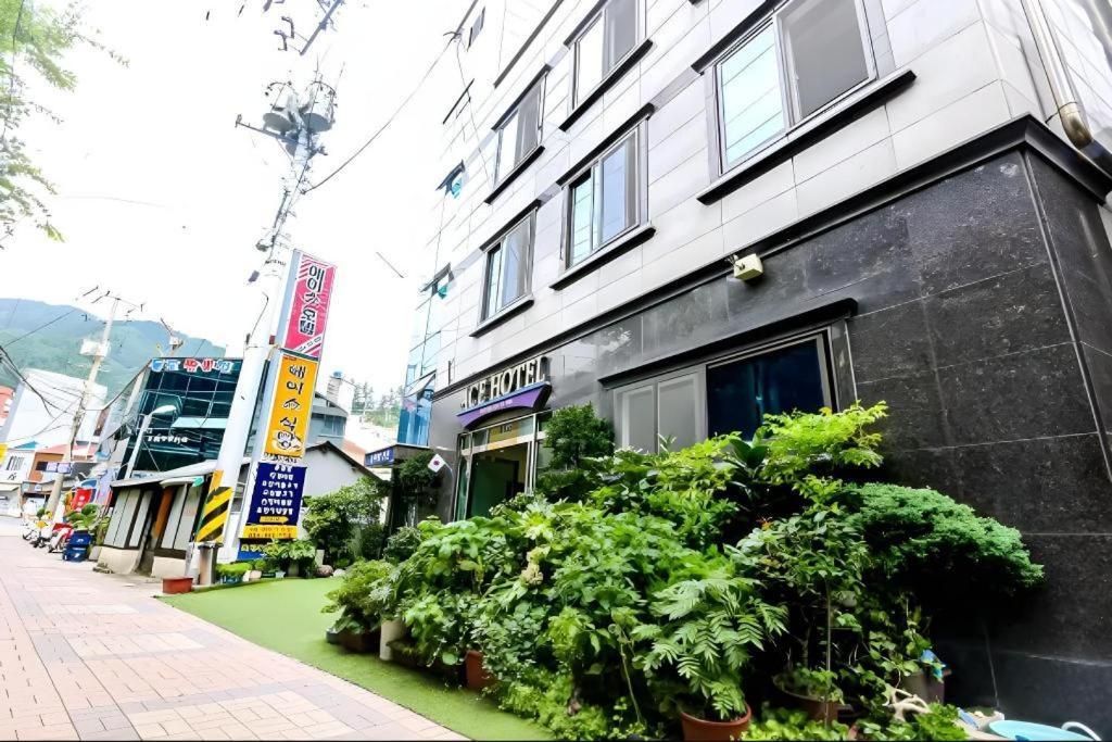 Ace Hotel Ulleung Экстерьер фото