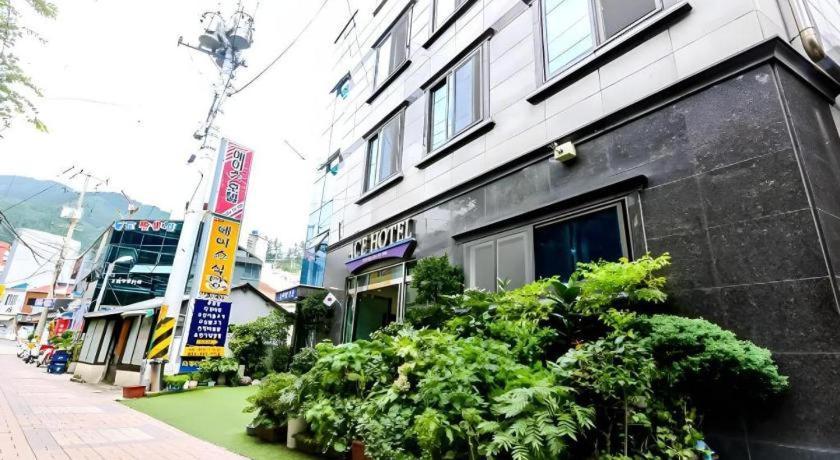 Ace Hotel Ulleung Экстерьер фото